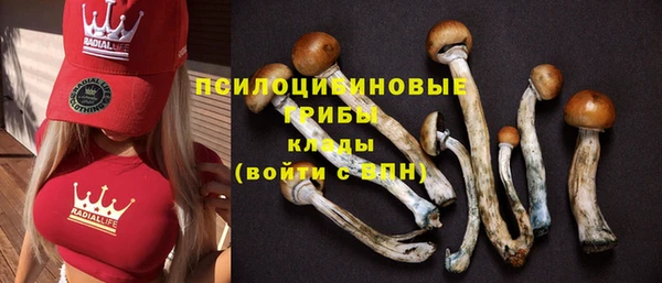 герыч Алексин