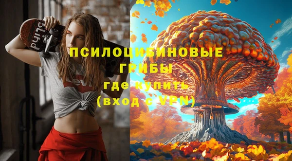 герыч Алексин