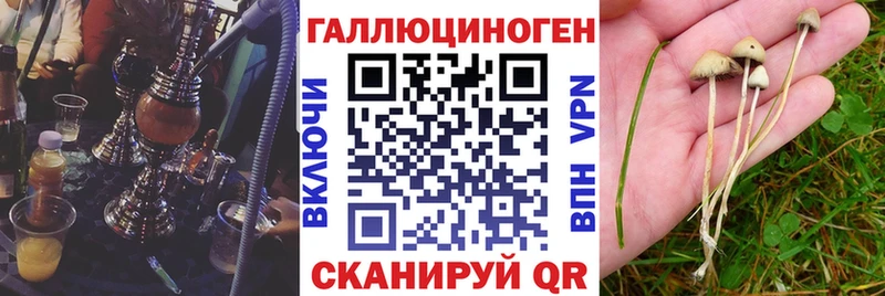 Галлюциногенные грибы Psilocybe  мориарти состав  Темрюк 