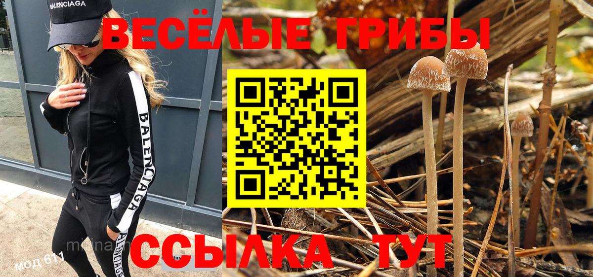 Галлюциногенные грибы прущие грибы Темрюк